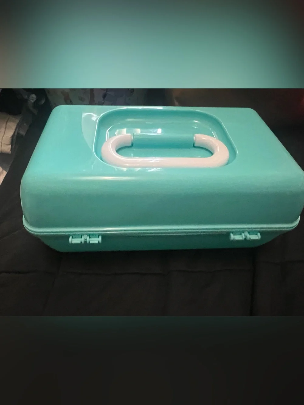 Aqua Plastic Storage Case with Carry Handle
